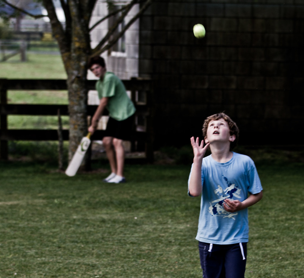 Playing Cricket