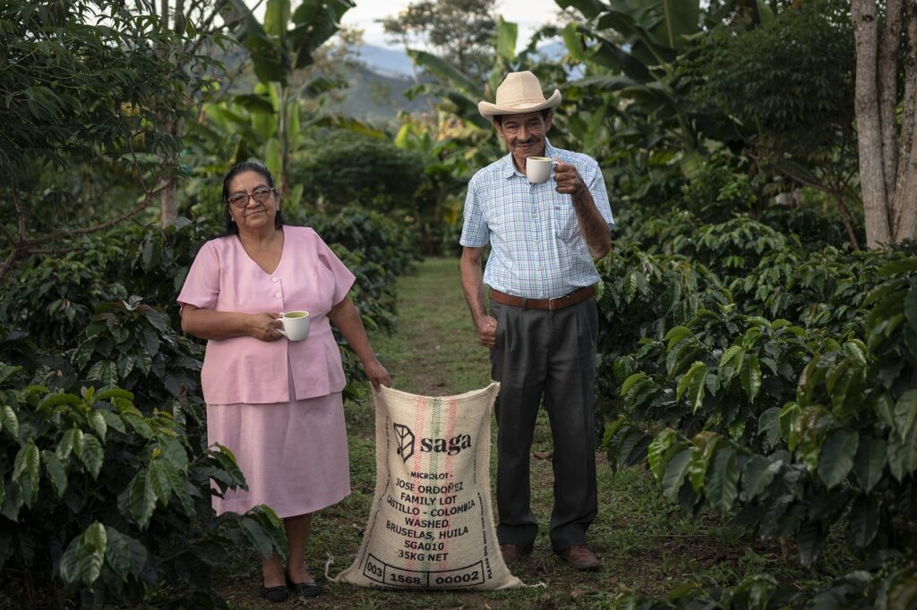 Coffee Plantation