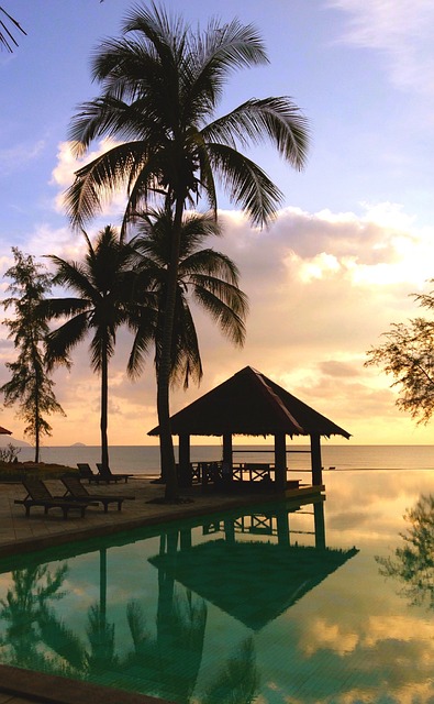 Poolside View