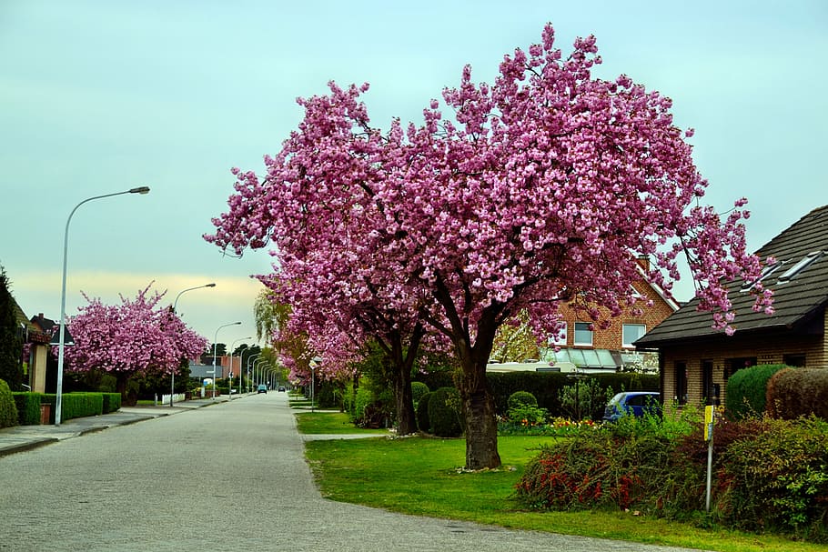 Road With Streetlight