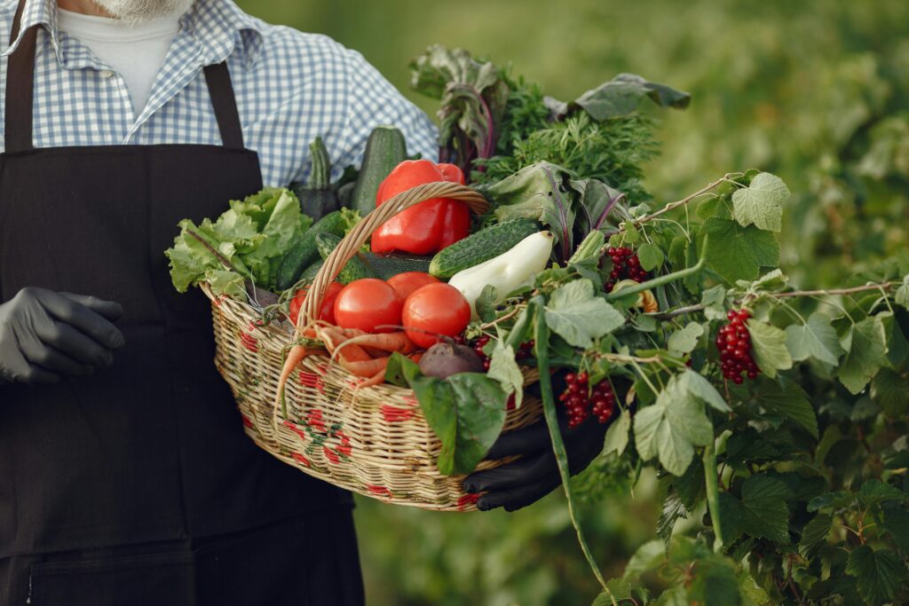 Fresh Vegetables