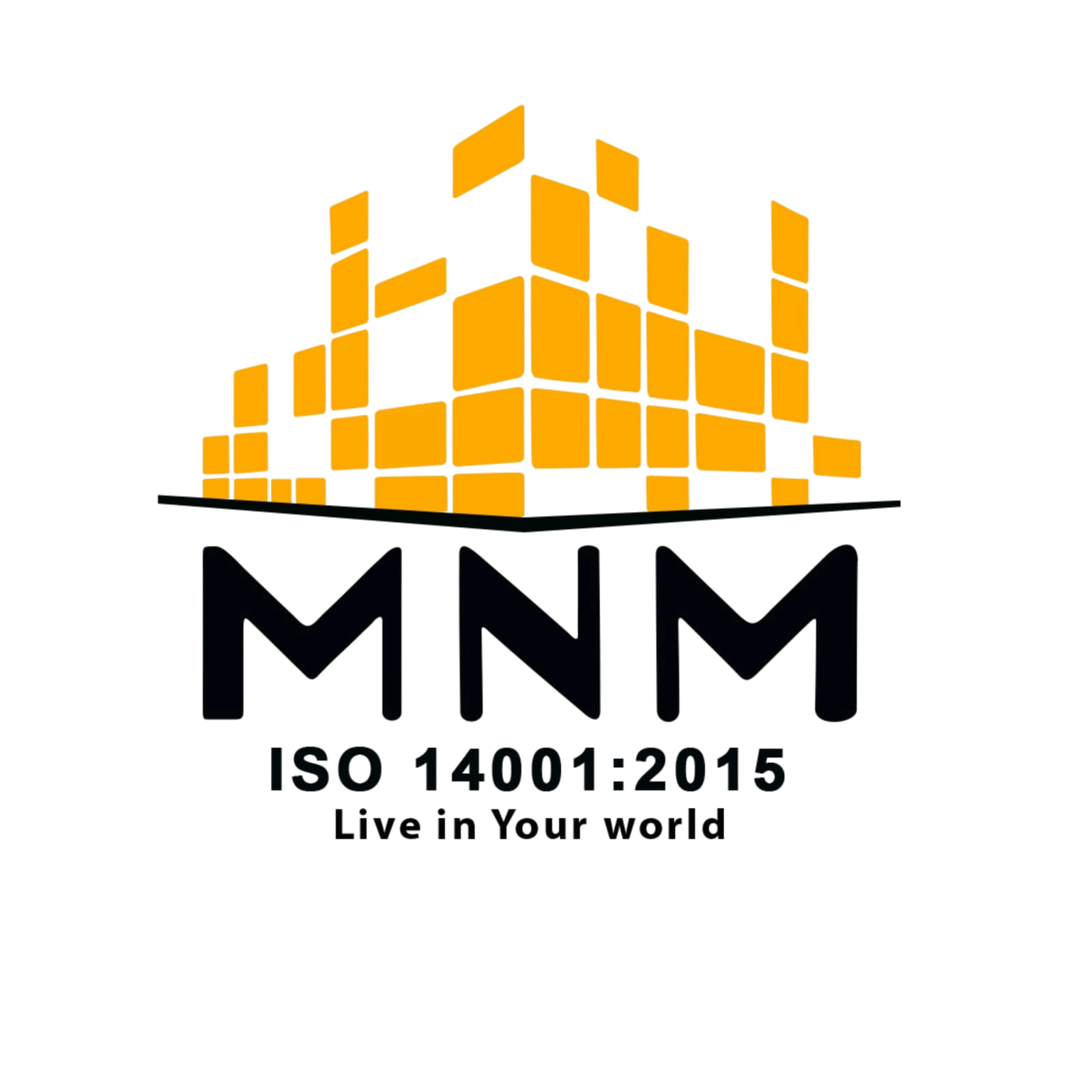 MNM Reality Logo